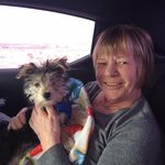 Susan Collar-Todd - @sus_an5059 - Instagram