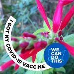 Susan Collard - @collard.susan - Instagram