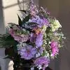susancollard1 - @tangled.gardens - TikTok