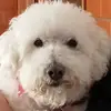 Susan Cortes - @susan.cortes96 - TikTok