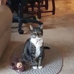 Susan Cossette - @susan00cossette - Instagram