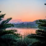 SJC - @susan.cothren.39 - Instagram