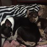Susan Cottle - @cottle_susan - Instagram