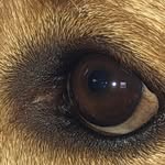 Susan Cottler Carlson - @susancottlercarlson - Instagram