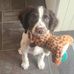 Susan Cottrell - Facebook