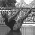 Susan Cottrell - Facebook