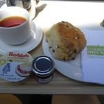 Susan Cottrell - @susan.cottrell.14 - Instagram
