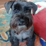 Susan Cottrell - @susancottrell2 - Instagram