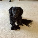 Susan Covington - @essie_cee - Instagram