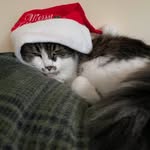 Susan Covington Brown - @susan_brown46 - Instagram