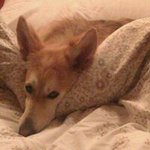 Susan Coy - @susanellen594 - Instagram