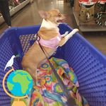 Susan Crawley - @crawley.susan - Instagram