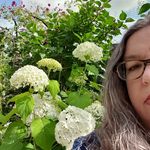 Susan Crawley-Foulkes - @thegardenatnumber97 - Instagram
