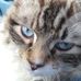 Susan Creger - Facebook