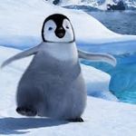 Susan Crew - @susan.crew10 - Instagram