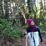 Susan Crew - @myartcrew - Instagram