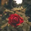 Susan Crist542 - @susancrist542 - TikTok