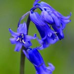Susan Criswell - @susan.r.criswell - Instagram
