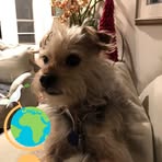Susie Critchfield - Facebook