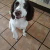 Susan Croft - @susan.croft68 - TikTok