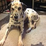 Susan Croft - @susanmcroft - Instagram