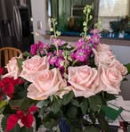 Susan Crook - Facebook