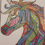 Susan Crook - @slcrook17 - Instagram