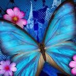 Susan Crosson - Facebook