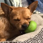 Susan Crowell - @crowellsusan - Instagram