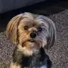 Susan Molina Crowell - @susan.molina.crow - TikTok
