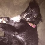 Susan Crown - @skcrown709 - Instagram