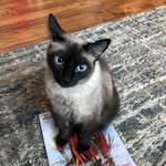 Susan Crown - @scrown20230518 - Instagram