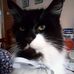 Susan Cseh - Facebook