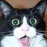 Suzy Cseh - Facebook