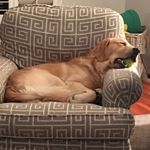 Susan Hall Culbertson - @susanhallculbertson - Instagram