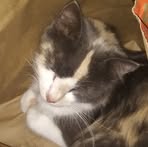 Susan Cullison - Facebook