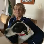 Susan Cupp - @cupp3853 - Instagram
