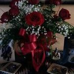 Susan Cupp-Steiger - @susancuppsteiger - Instagram