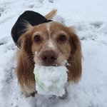 Susan Cupples - @susanjanecupples - Instagram