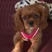 Susan D'Alessandro - Facebook