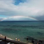Susan Dalton - @susan.dalton.545 - Instagram