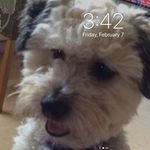 Susan Dalton - @susanann1950 - Instagram