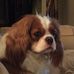 Susan Dalton - Facebook