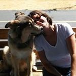 Susan Estes Danehy - @estesdanehy - Instagram