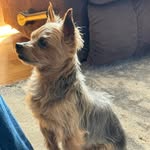 Susan Dansereau - @susandansereau - Instagram