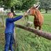 Susan Dare - Facebook