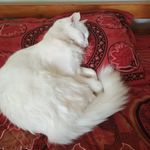 Susan Dare - @susandare51 - Instagram