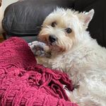 @susan_dare_akers - Instagram