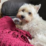 Susan Dare Akers - @mmwcam - Instagram