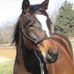 Sue Dattilo - Facebook